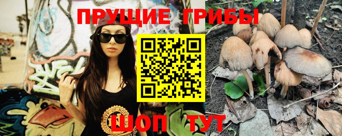 Псилоцибиновые грибы MAGIC MUSHROOMS Благовещенск