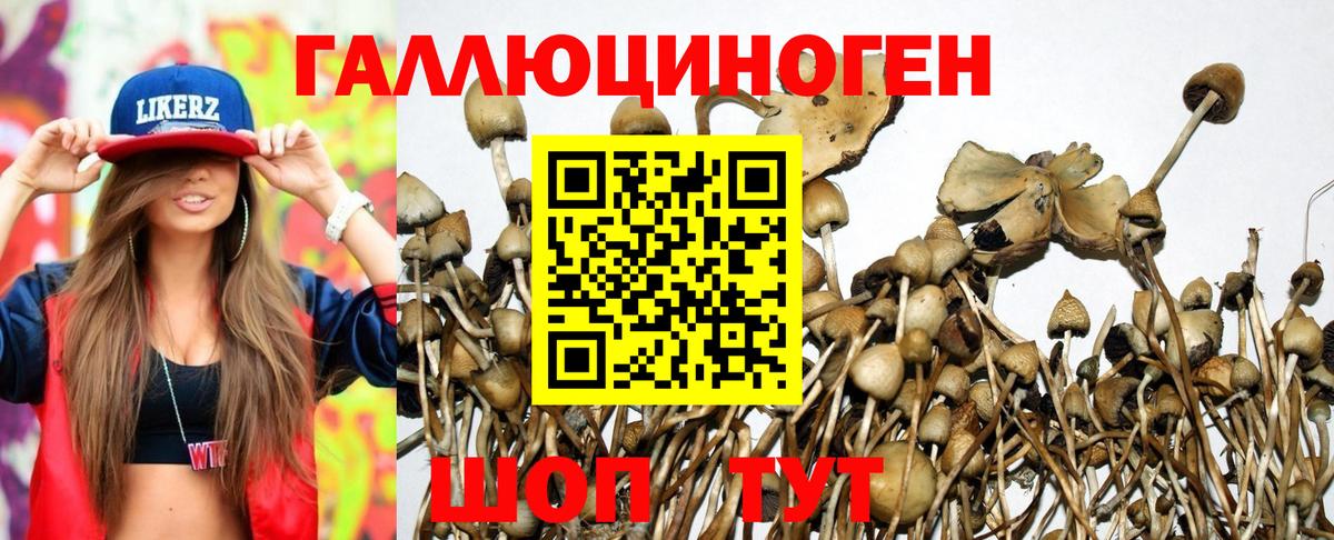 Псилоцибиновые грибы мухоморы  Вход с VPN  Благовещенск 